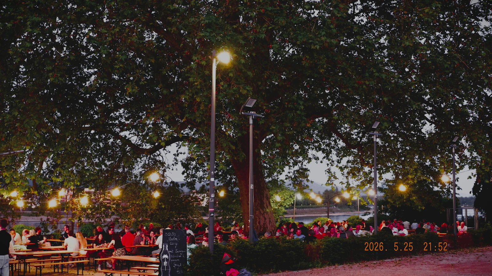 Biergarten am Abend: Tische unter einem großen Baum, darüber Lichterketten